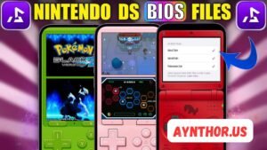 nds bios